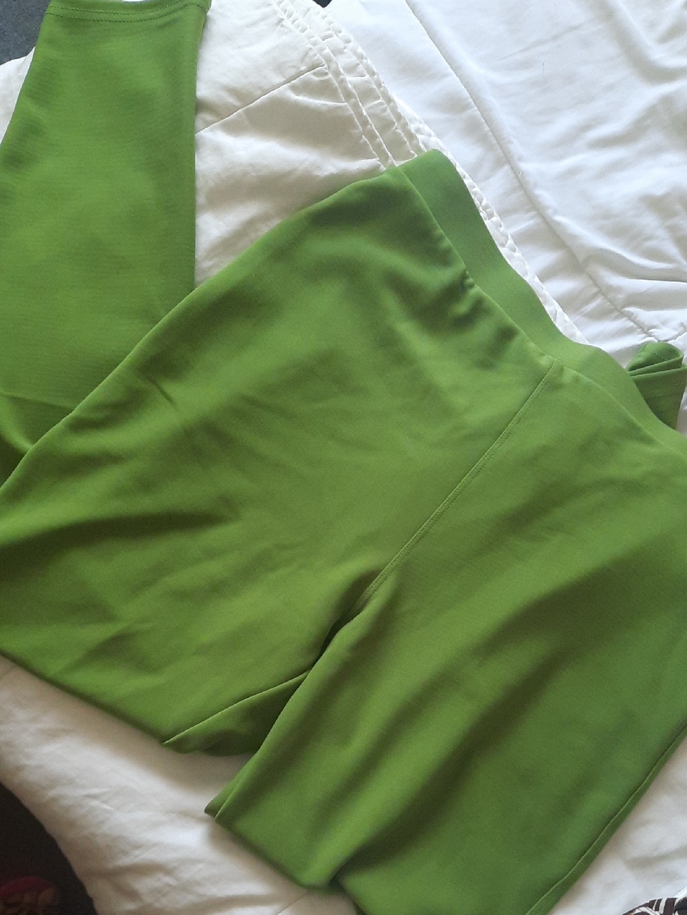 Green Women's Ponte Knit Pull-On Pants